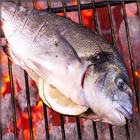 Seafood - Product of Thassos Island, Greece