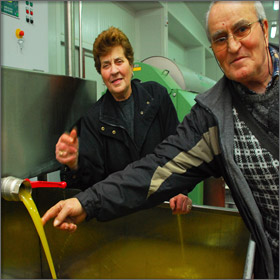 Olive Oil Production on Thassos Island, Greece